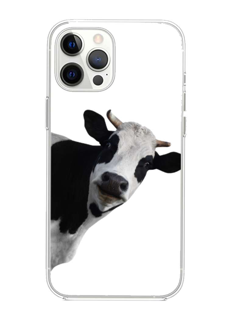 Moooo